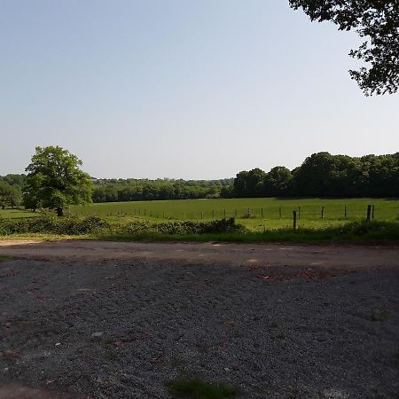 Domaine Du Bois Chaumet Bed & Breakfast Couzon Dış mekan fotoğraf